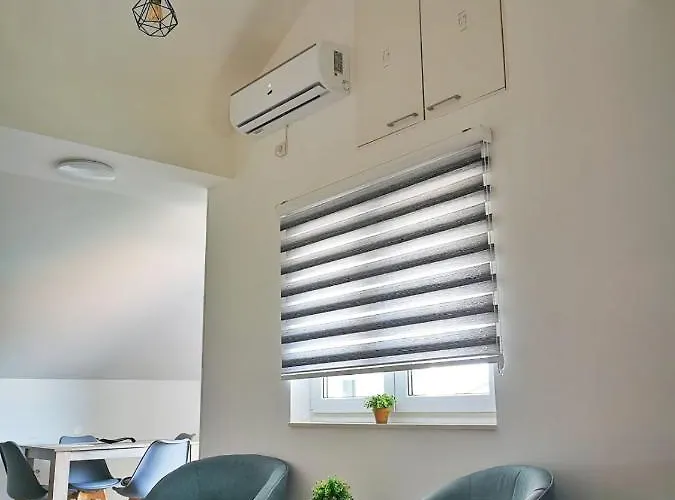 Ananas Centar Bolnica Besplatan Parking 4*