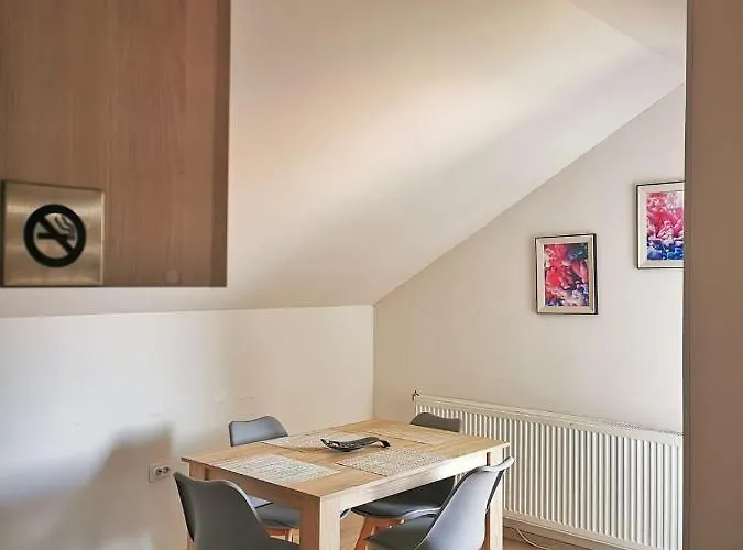 Ananas Centar Bolnica Besplatan Parking